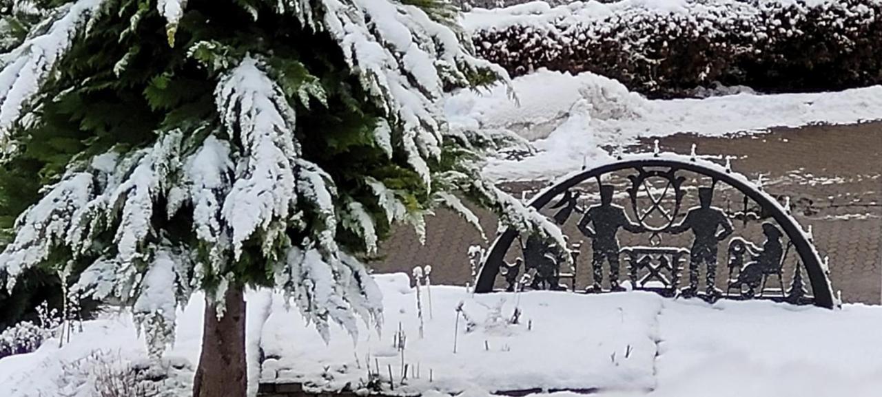 FeWo Harz Haennig 1 Wieda Zewnętrze zdjęcie