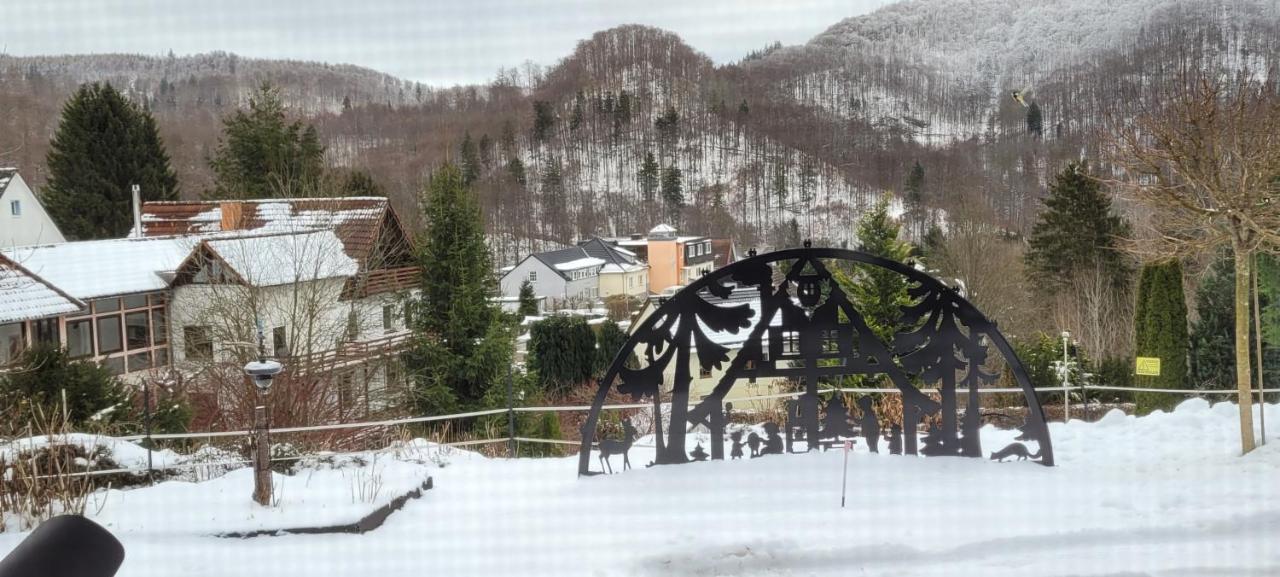 FeWo Harz Haennig 1 Wieda Zewnętrze zdjęcie