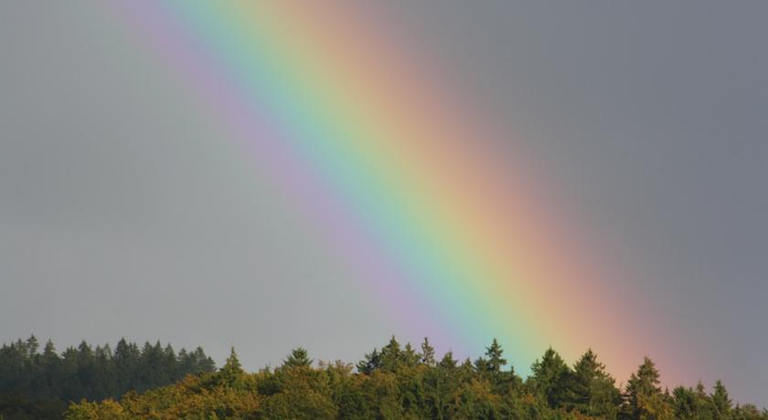 FeWo Harz Haennig 1 Wieda Pokój zdjęcie