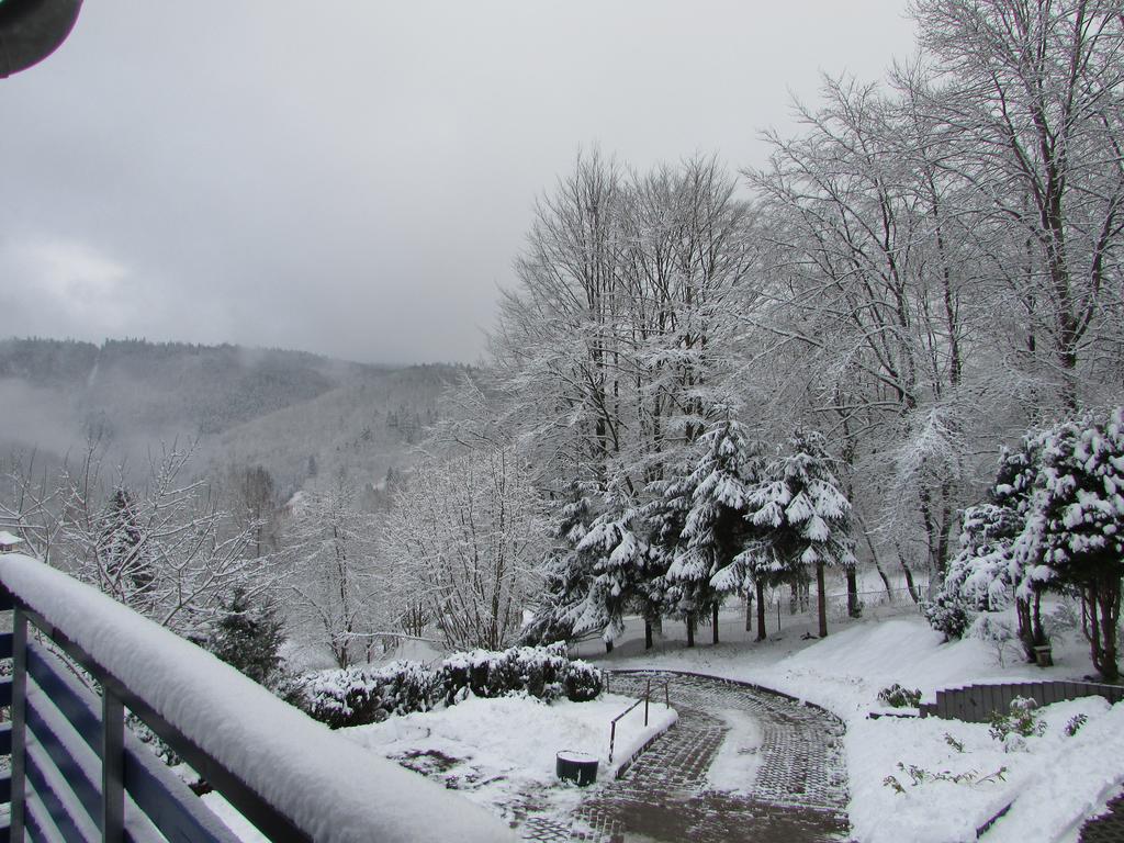 FeWo Harz Haennig 1 Wieda Zewnętrze zdjęcie