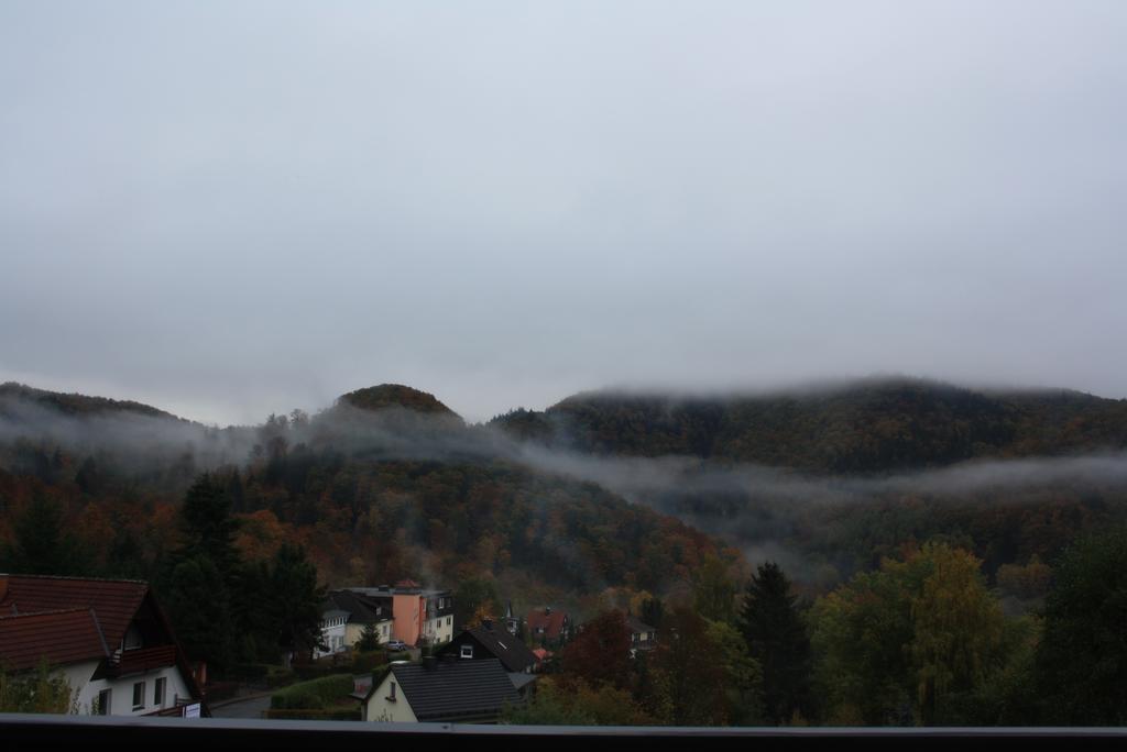 FeWo Harz Haennig 1 Wieda Zewnętrze zdjęcie