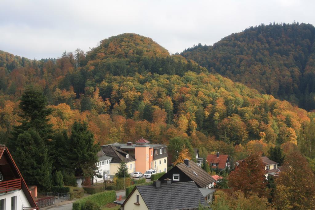 FeWo Harz Haennig 1 Wieda Zewnętrze zdjęcie